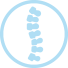 Icon Wirbelsäule